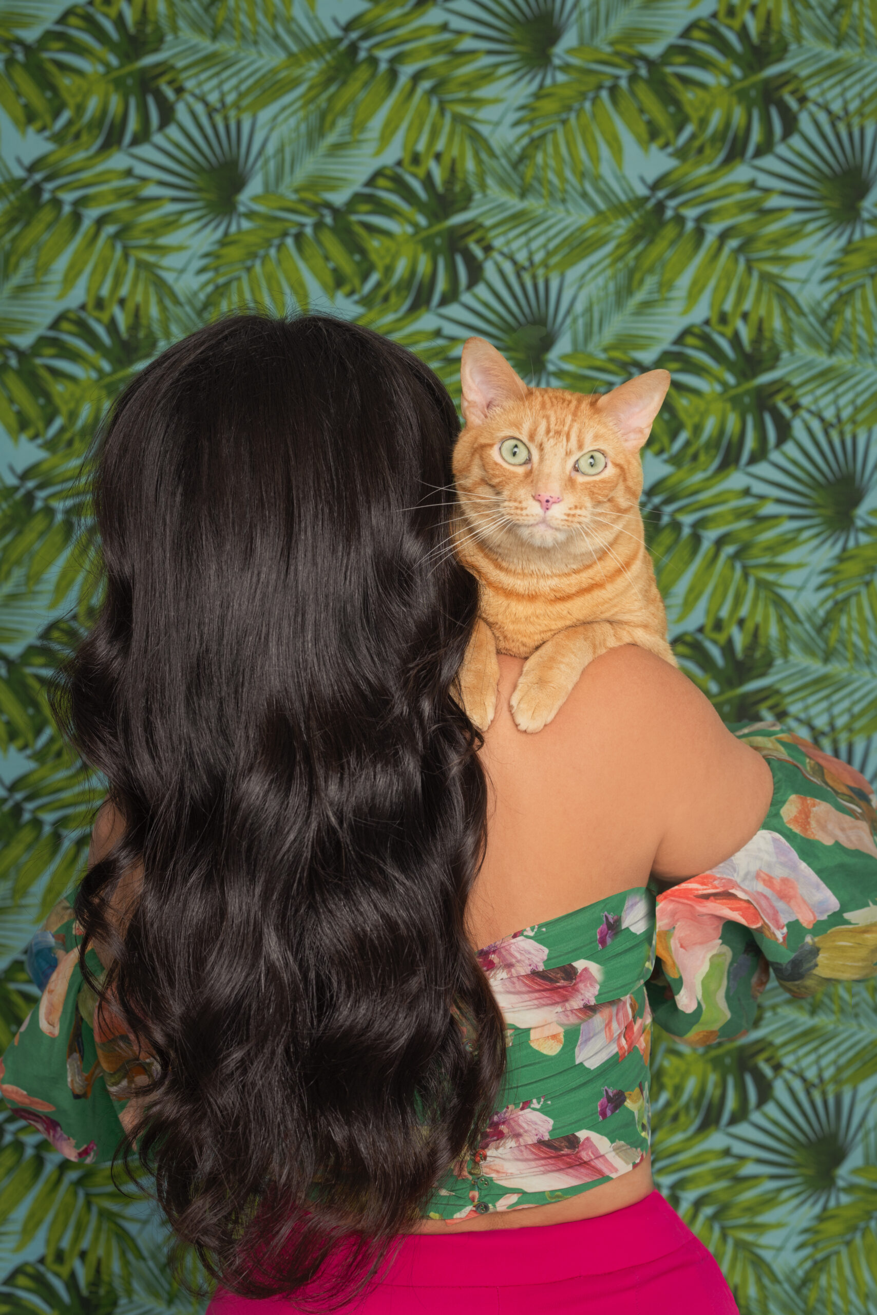 Celebrating Hug Your Cat Day as an Entrepreneur – The US Times